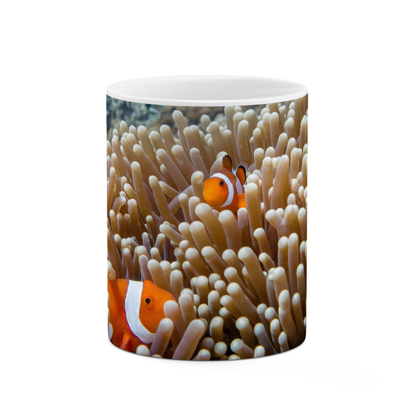 ماگ کاکتی طرح ماهی کد mgp12286