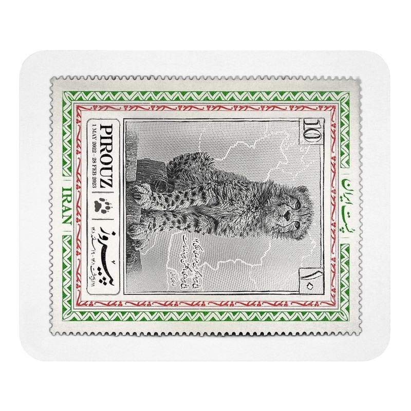 ماوس پد مدل پیروز سایز 19x24 سانتی متر