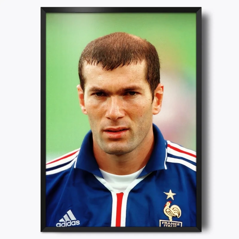 تابلو شخصیت Zinedine Zidane(زین‌الدین زیدان)