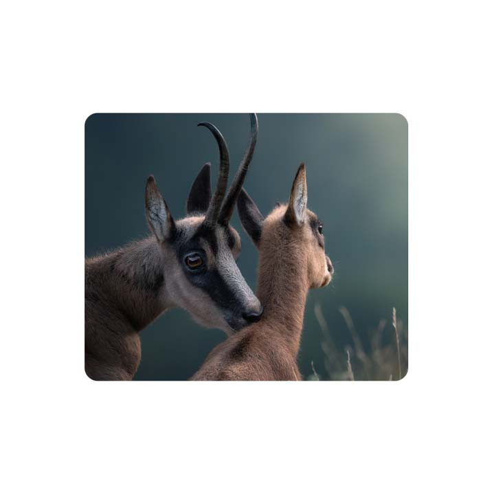 ماوس پد طرح گوزن کد DDS034